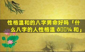 性格温和的八字男命好吗「什么八字的人性格温 🐼 和」